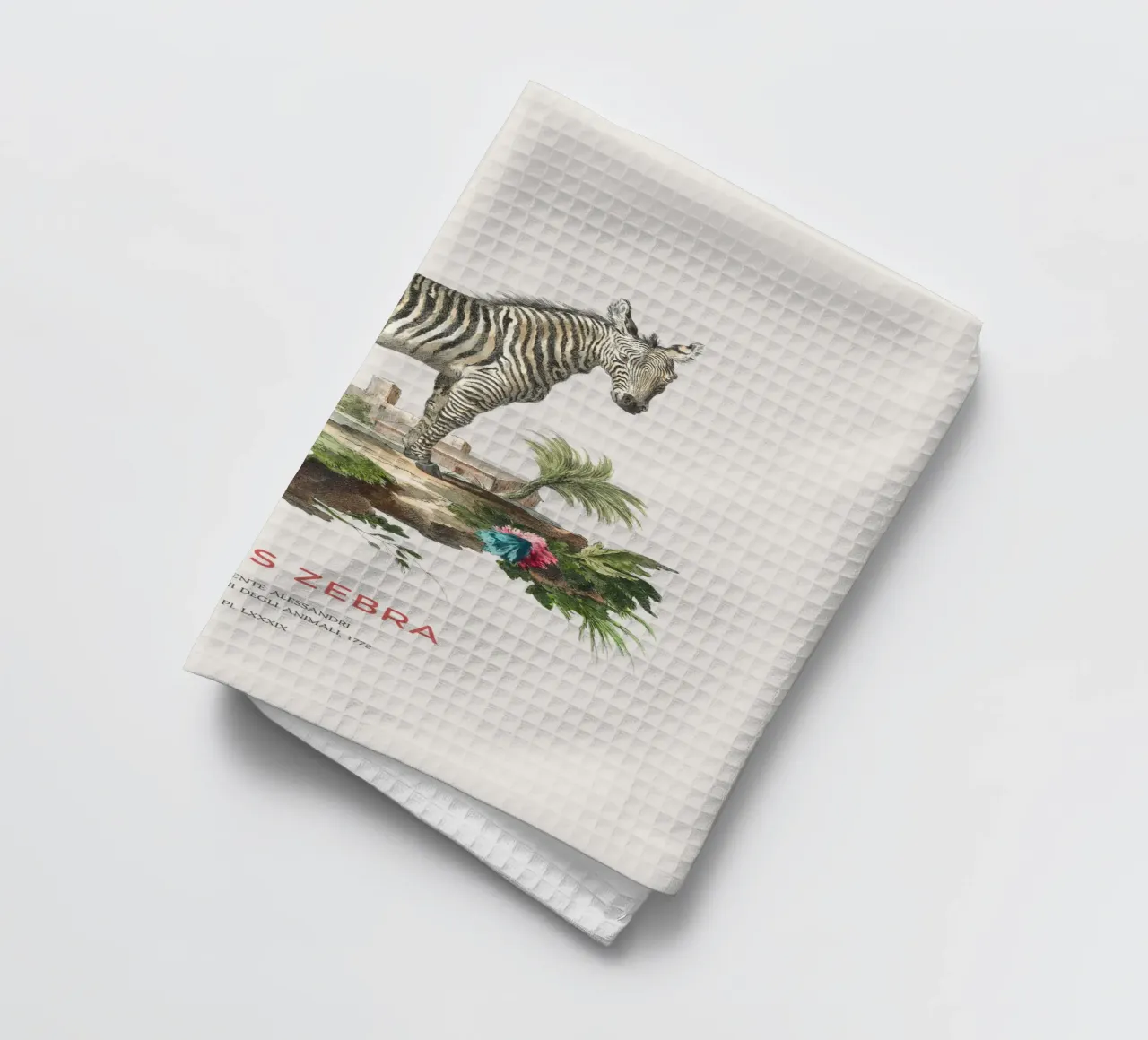 Incisione retro Mountain Zebra canovaccio da cucina da Vintagrafica