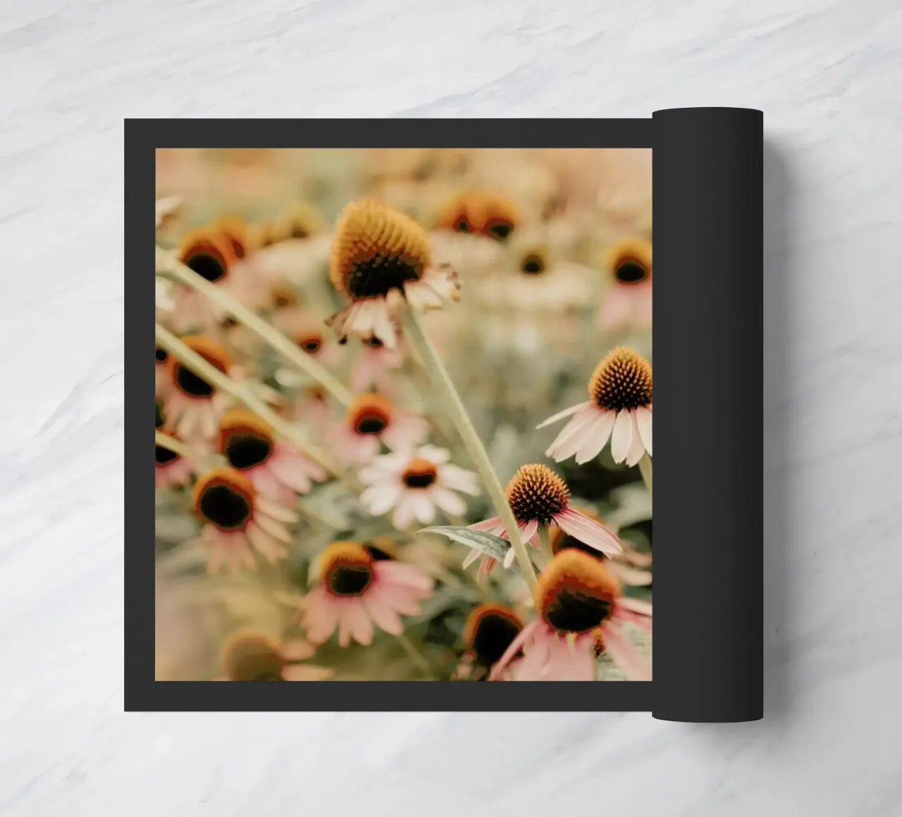 Echinacea Flowers zerbino da Ingrid Beddoes