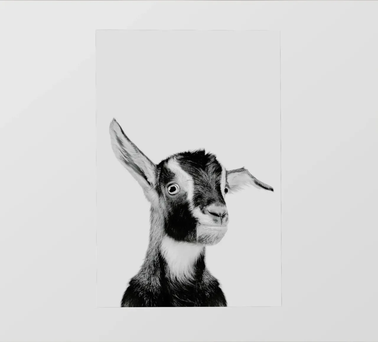 Goat Classic pellicola backlit da Paws & Claws