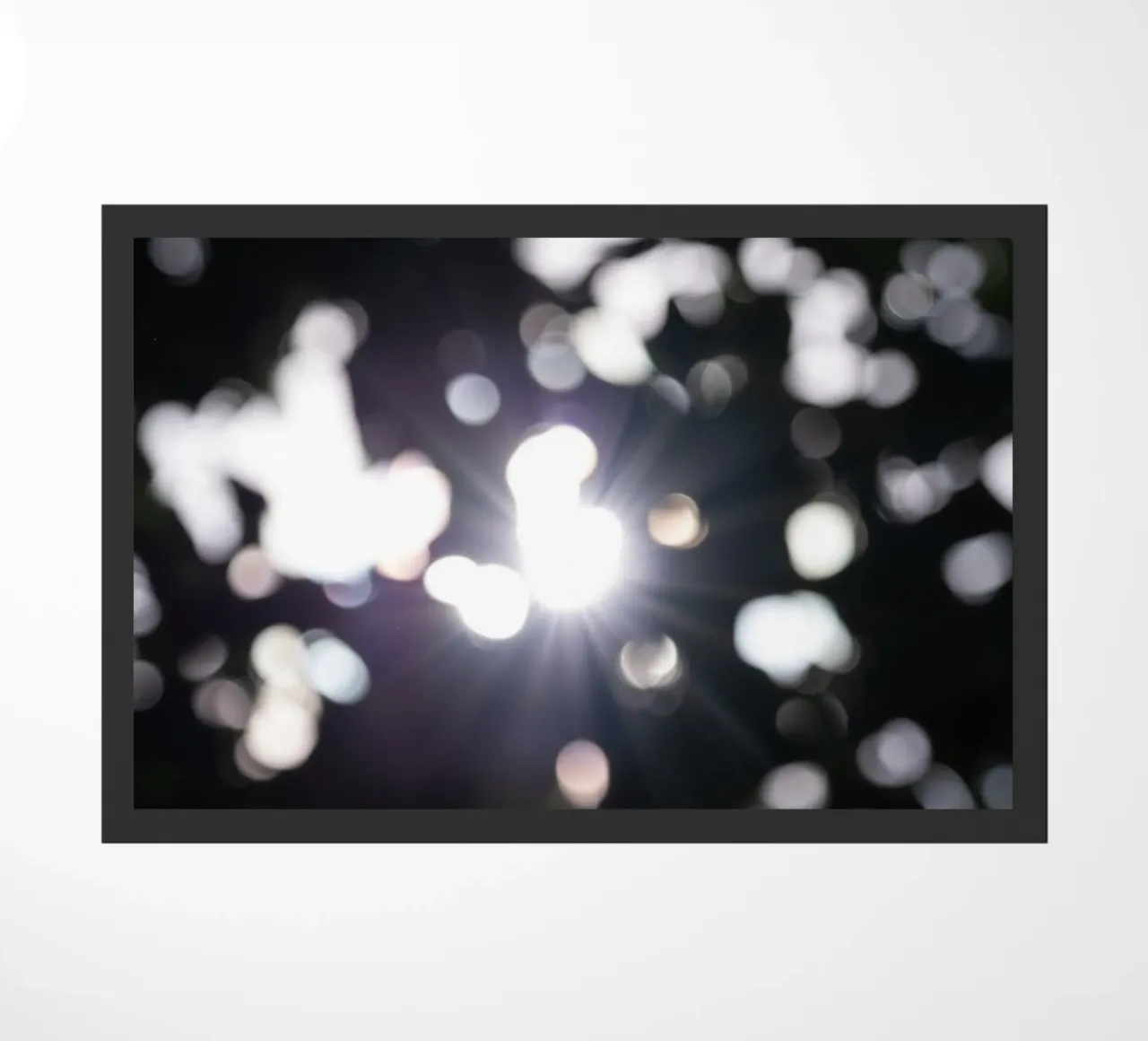 Giorni zerbino da rafael campezato