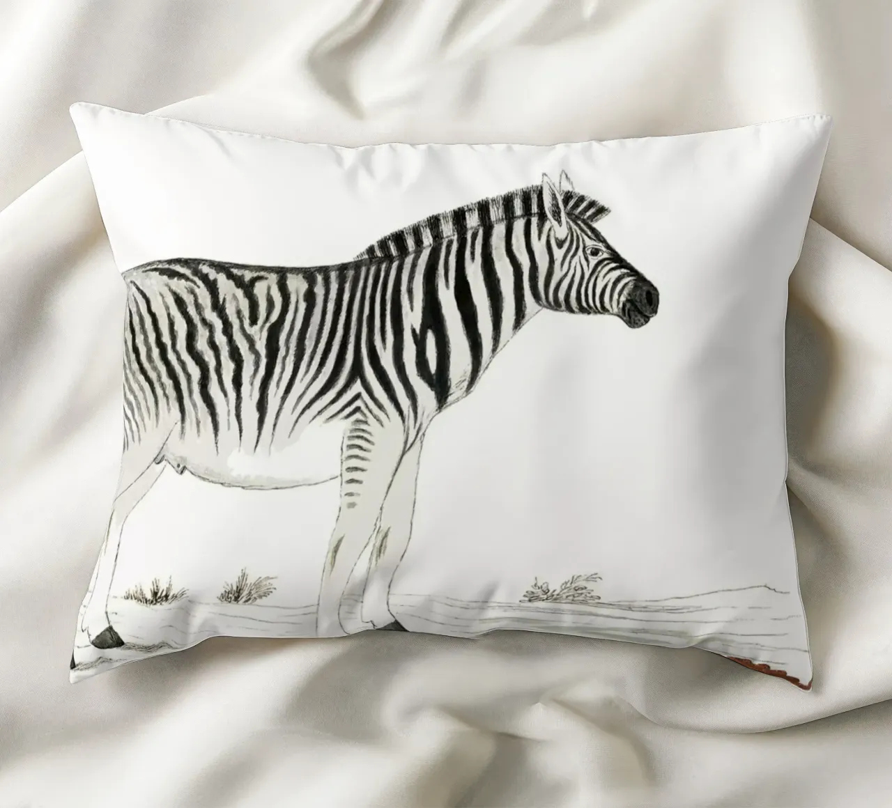 Zebra cuscino da Second Canvas