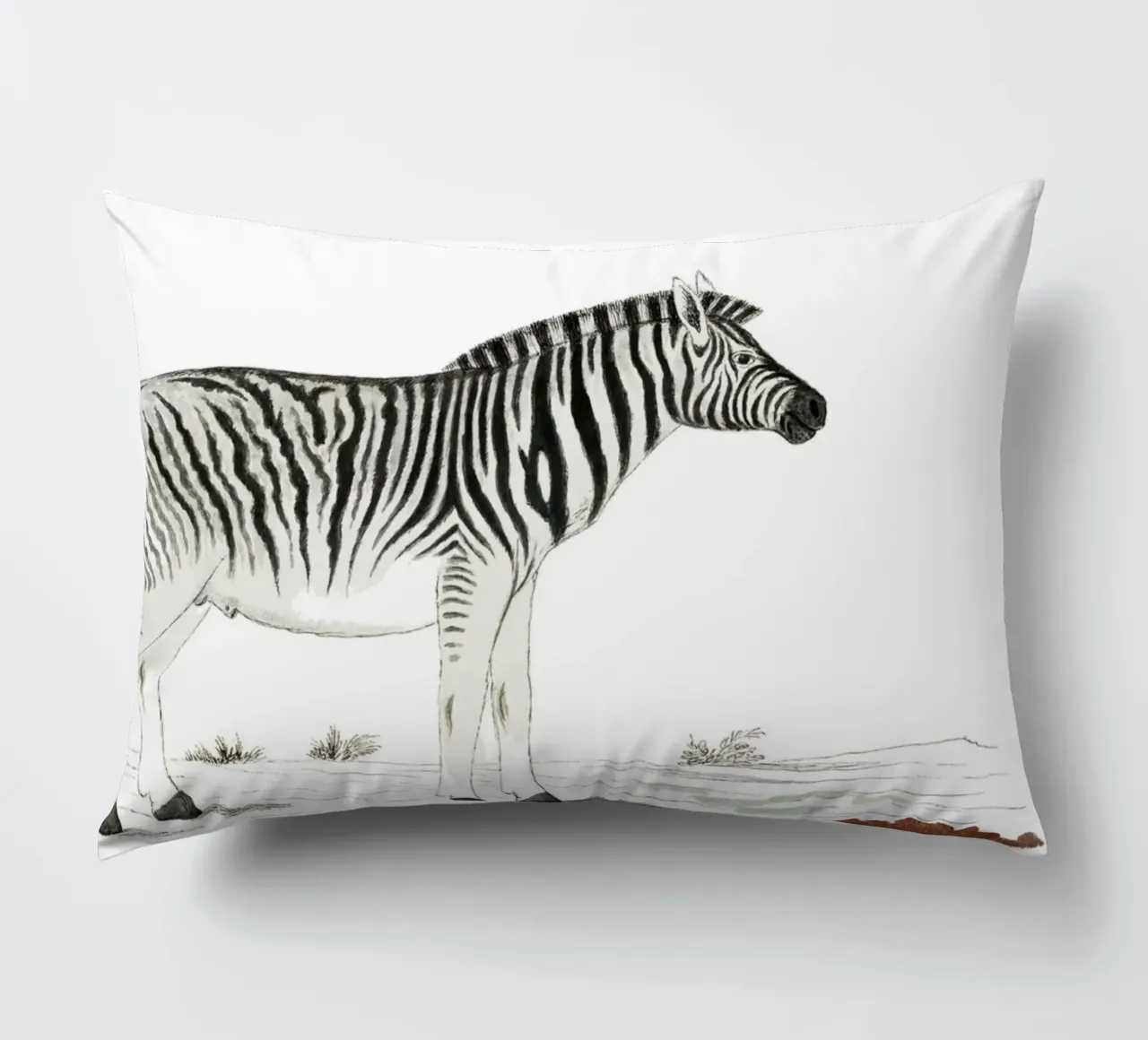 Zebra cuscino da Second Canvas