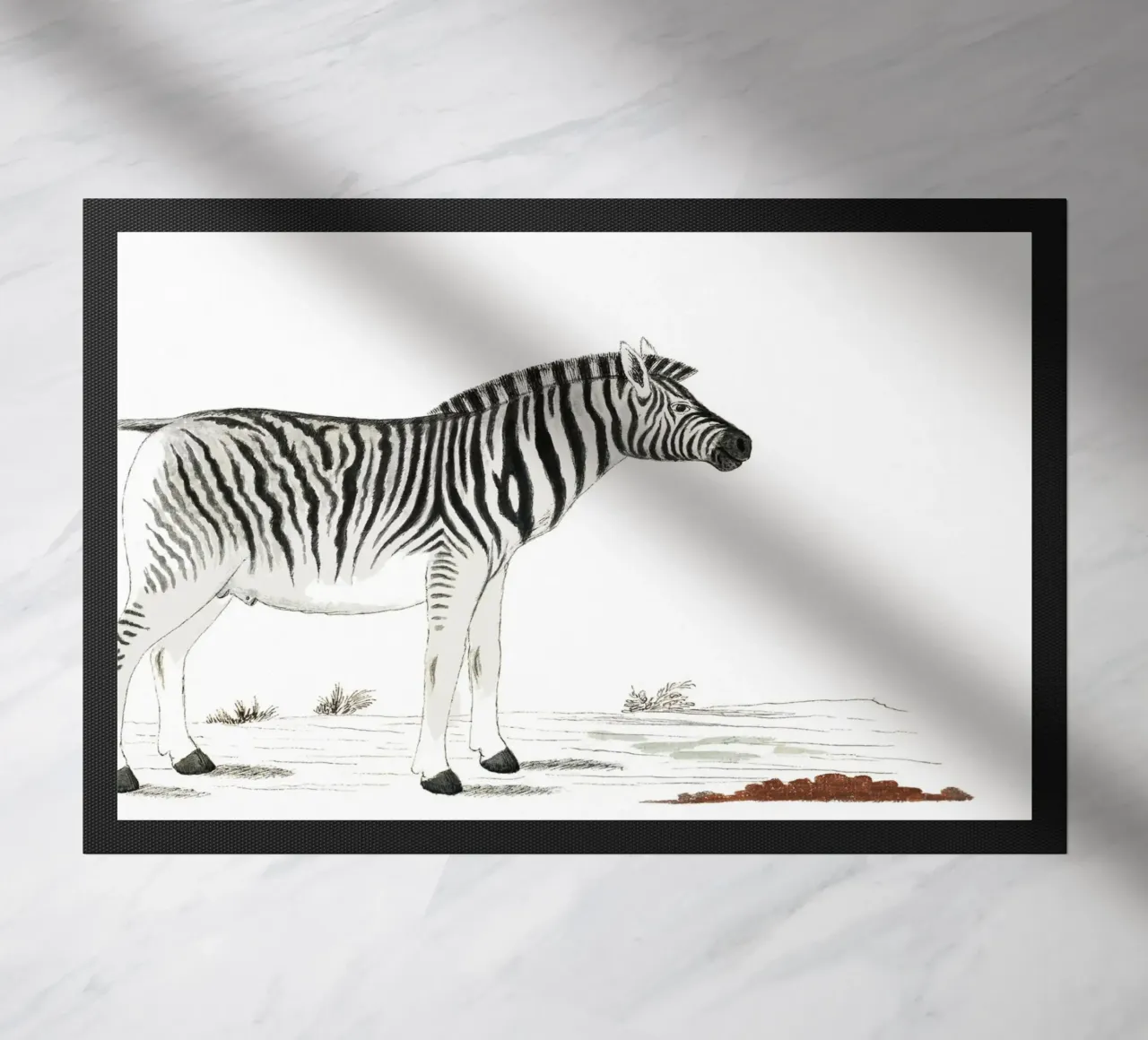 Zebra zerbino da Second Canvas