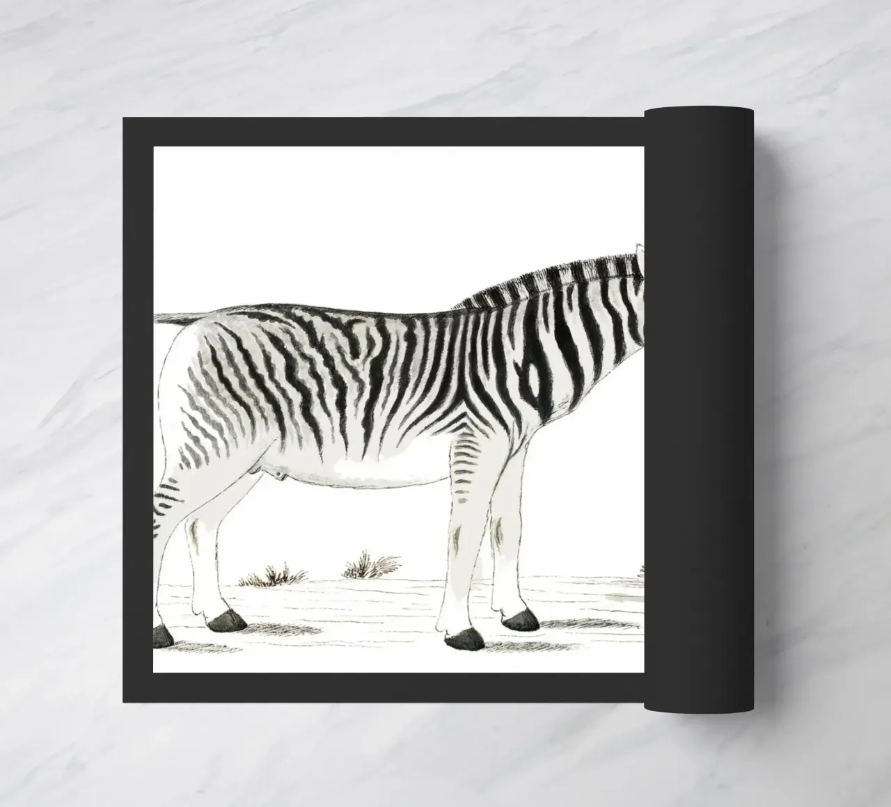 Zebra zerbino da Second Canvas