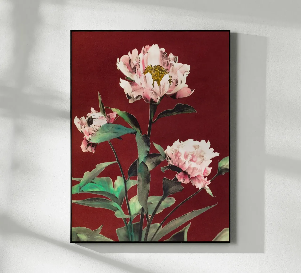 Peonie plexiglass da Second Canvas