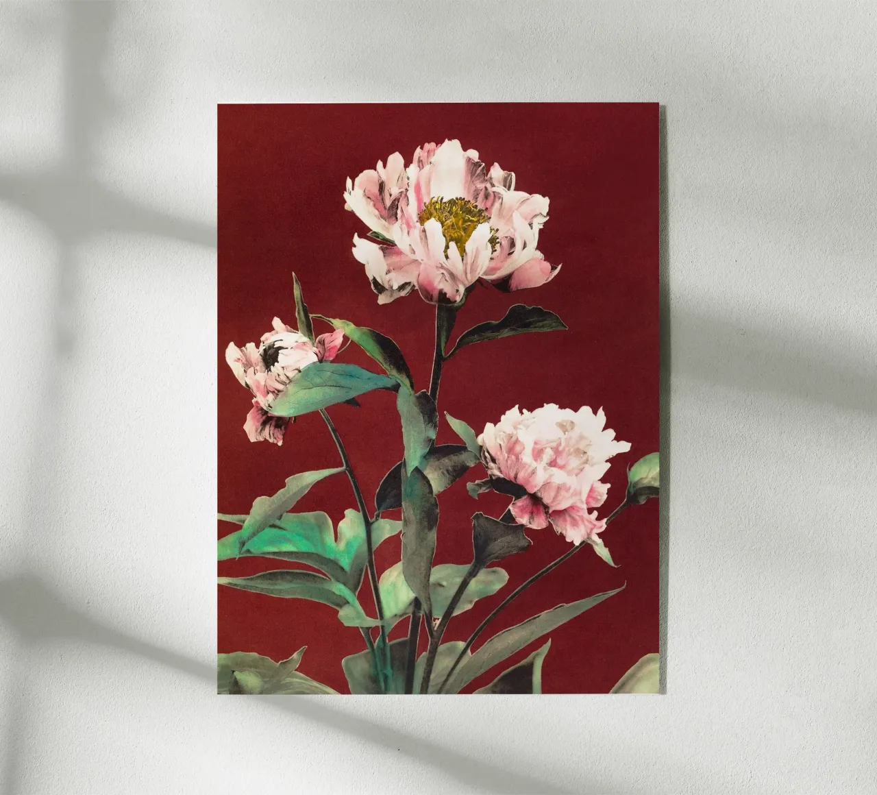 Peonie plexiglass da Second Canvas
