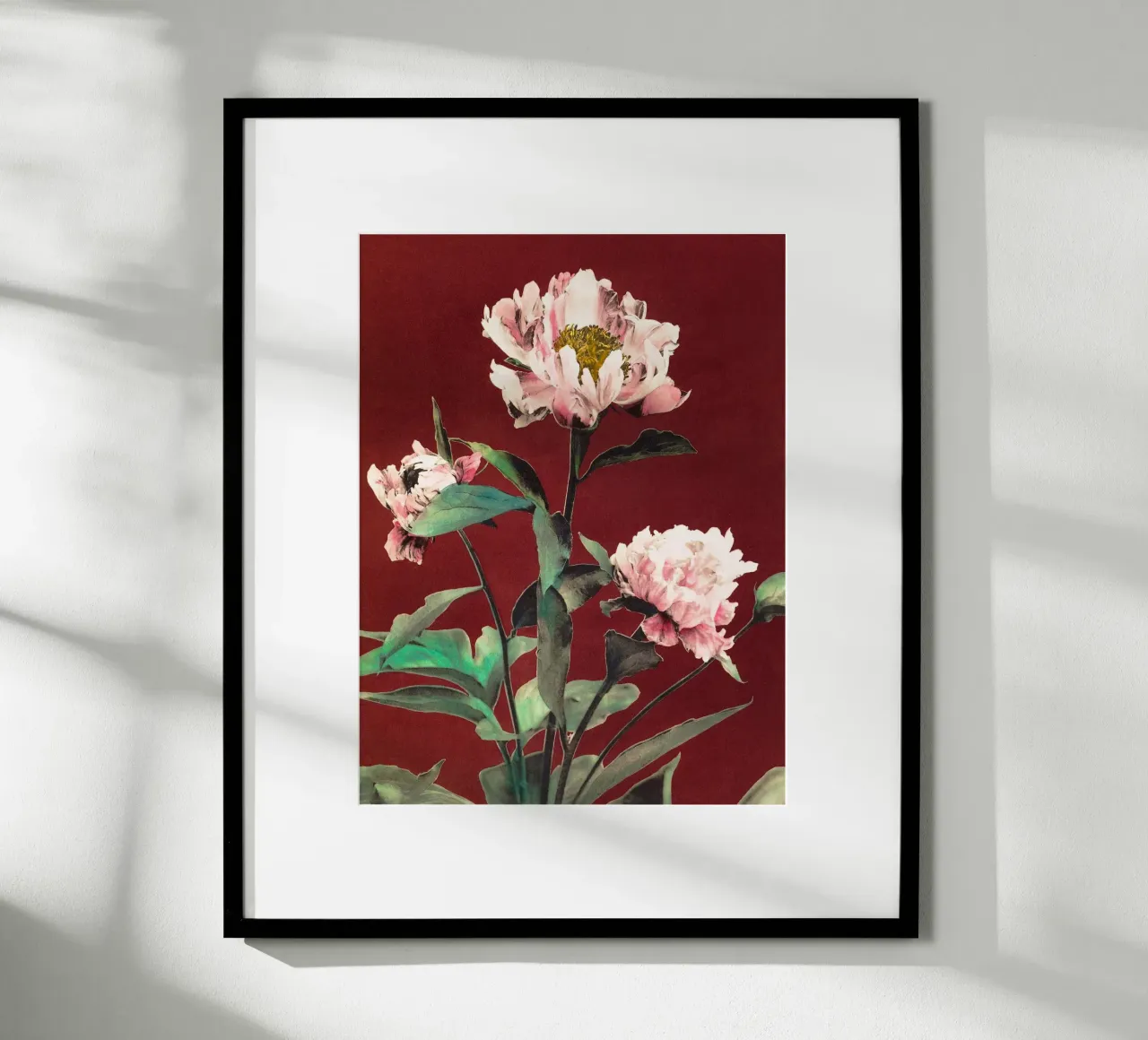 Peonie poster con telaio in plastica da Second Canvas