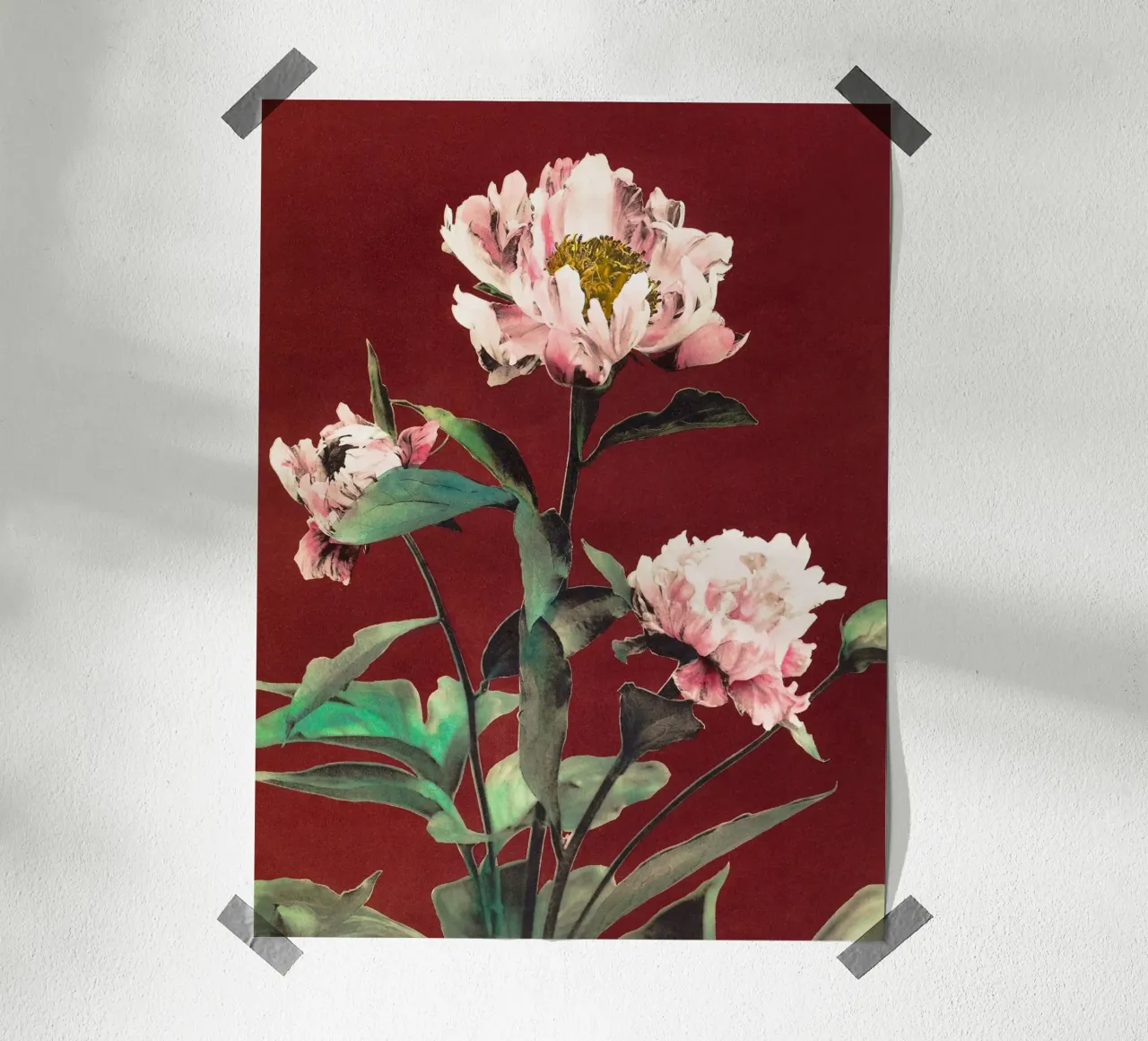 Peonie poster con telaio in plastica da Second Canvas