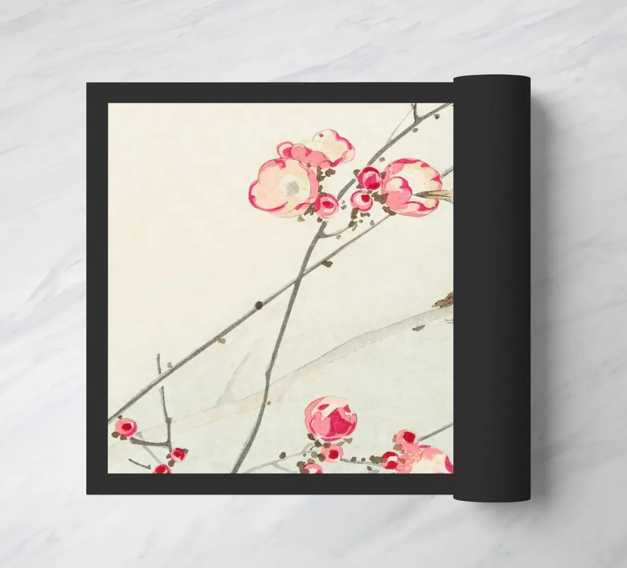 Songbird zerbino da Second Canvas