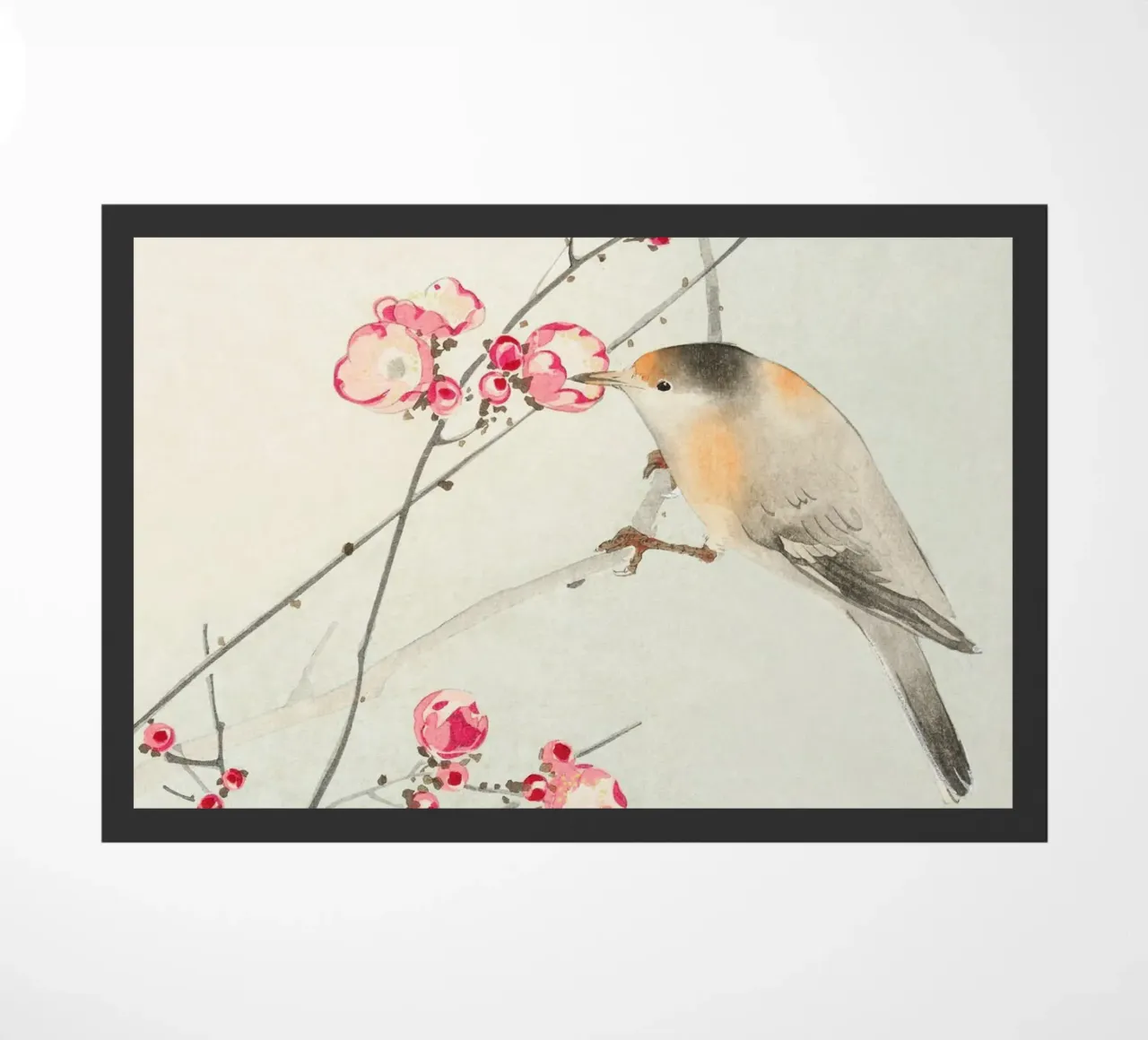 Songbird zerbino da Second Canvas