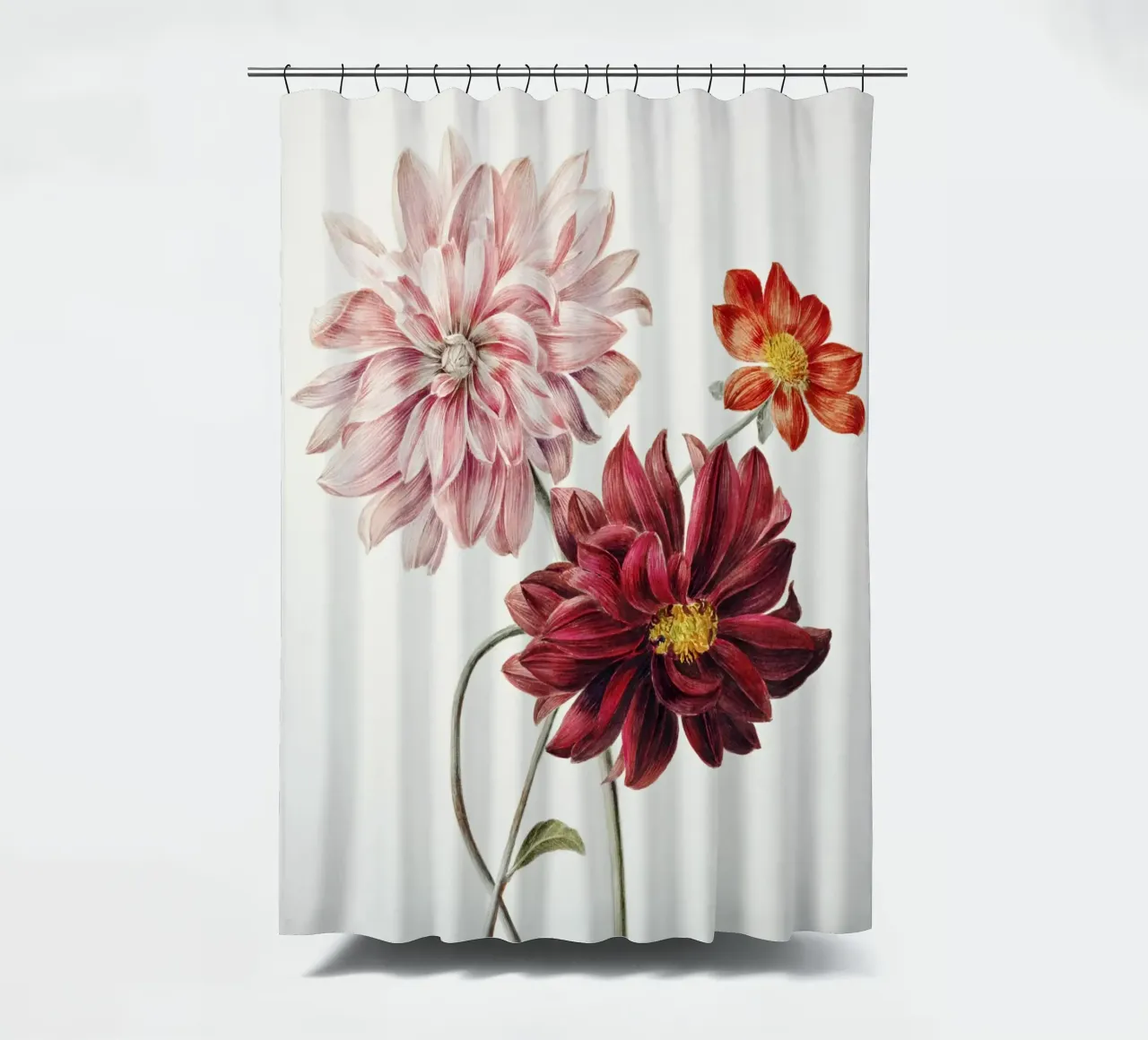 Dalie di Willem Hekking tenda da doccia da Pretty Flowers Vintage Botanicals