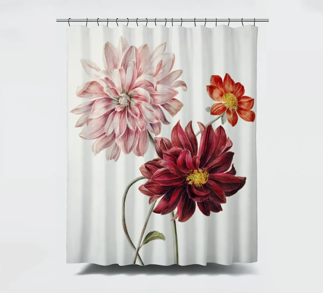 Dalie di Willem Hekking tenda da doccia da Pretty Flowers Vintage Botanicals