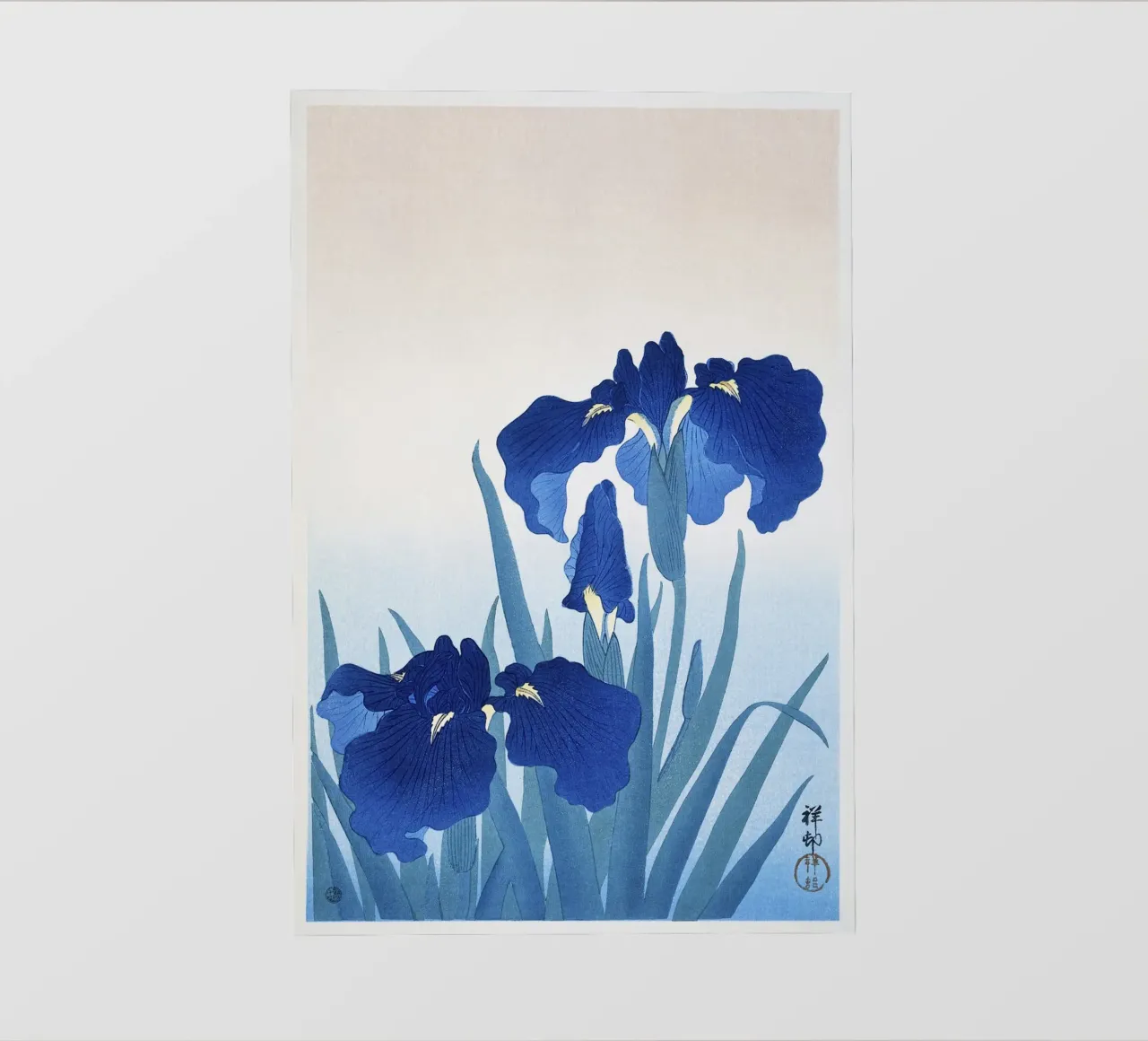 Fiori di iris 1925 di Ohara Koson pellicola backlit da Pretty Flowers Vintage Botanicals