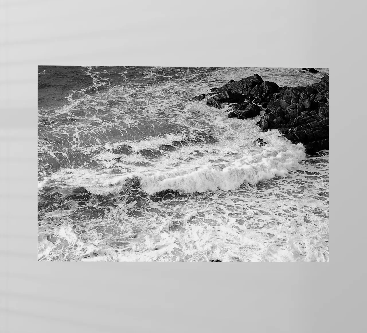 BW66 pellicola backlit da Thierry vobmann photography