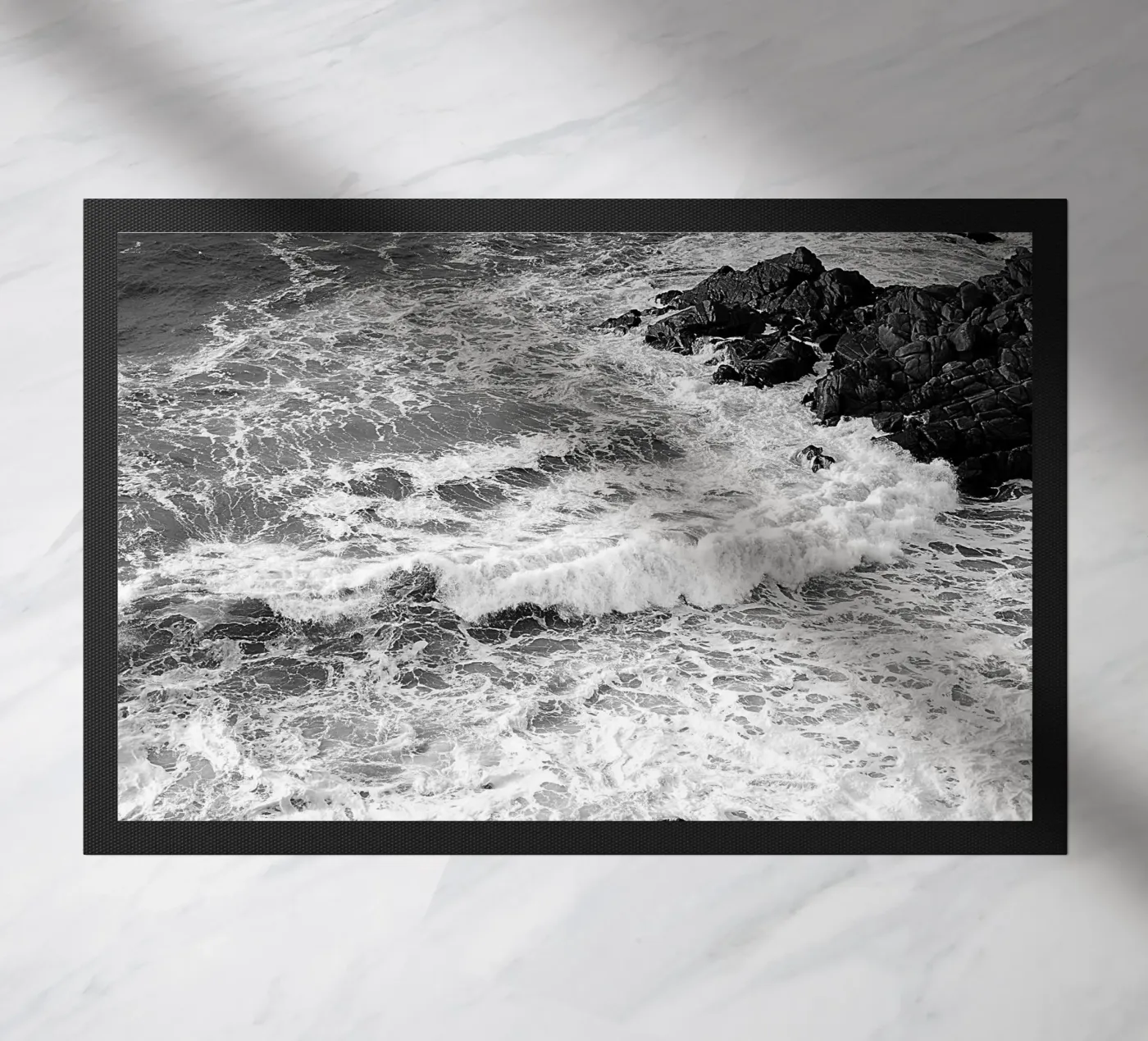 BW66 zerbino da Thierry vobmann photography