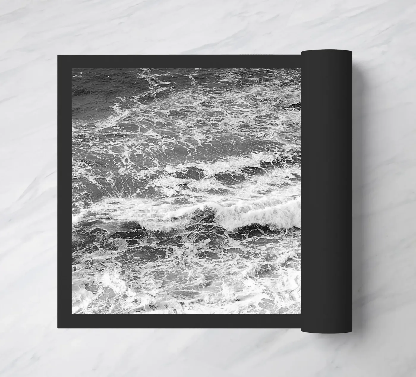 BW66 zerbino da Thierry vobmann photography