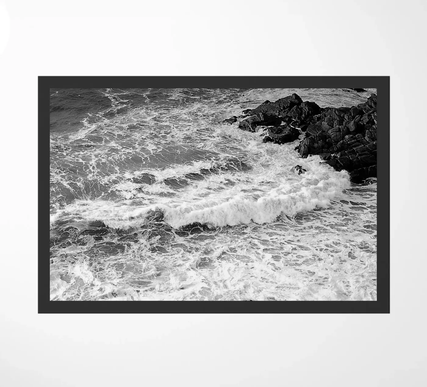 BW66 zerbino da Thierry vobmann photography