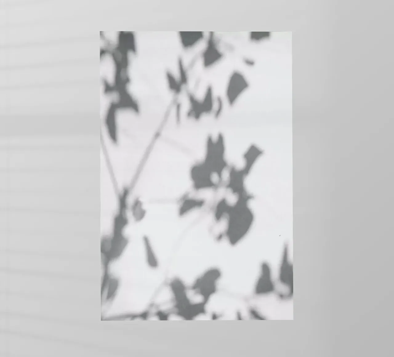 Shadow pellicola backlit da Flora & Fauna