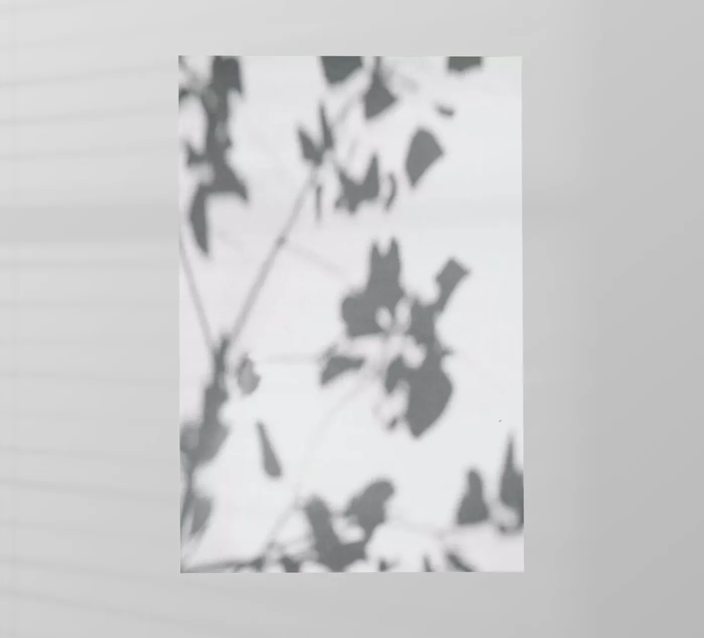 Shadow backlit folie van Flora & Fauna