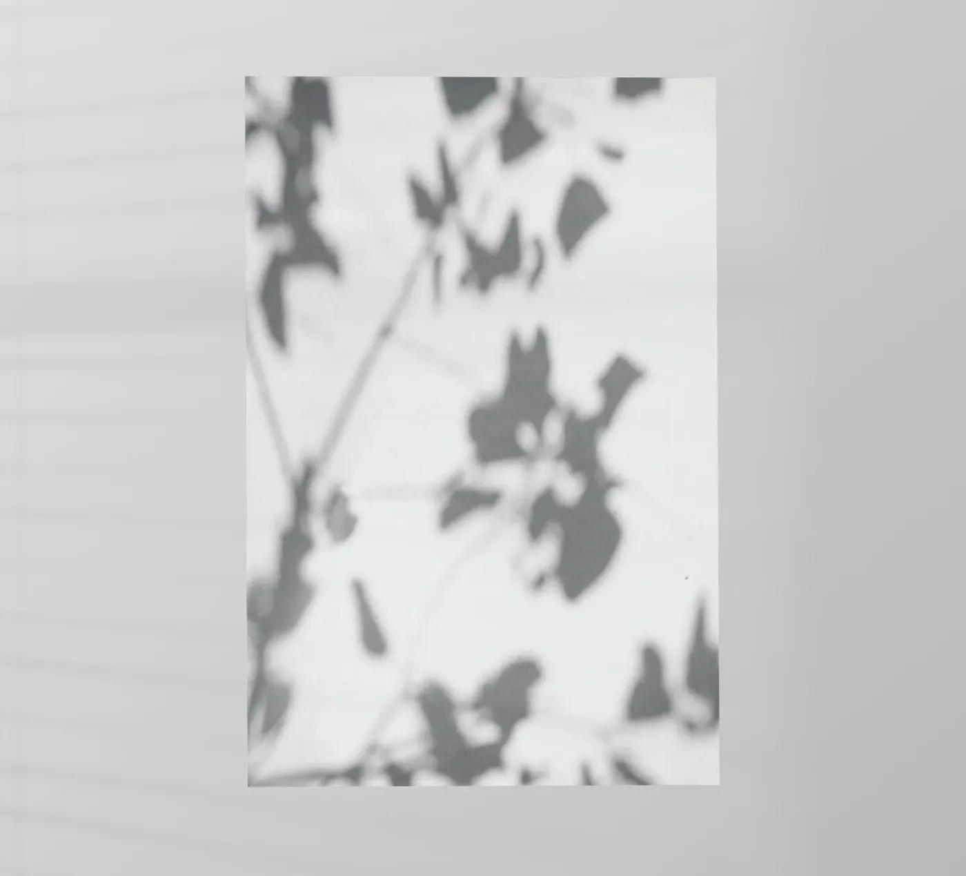 Shadow pellicola backlit da Flora & Fauna