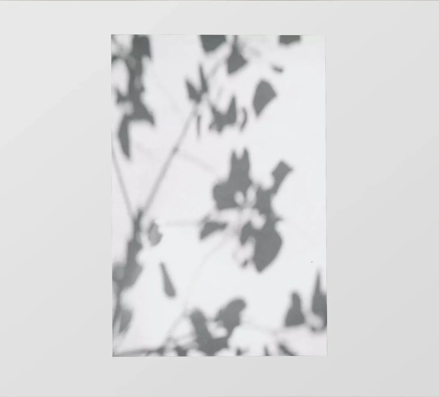 Shadow backlit folie van Flora & Fauna