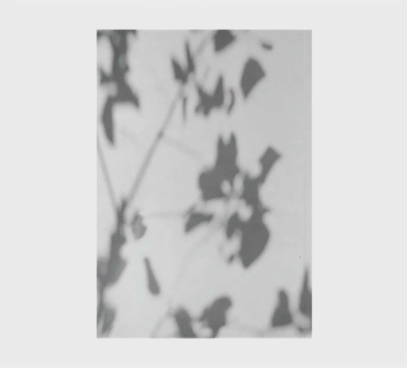 Shadow notebook by Flora & Fauna