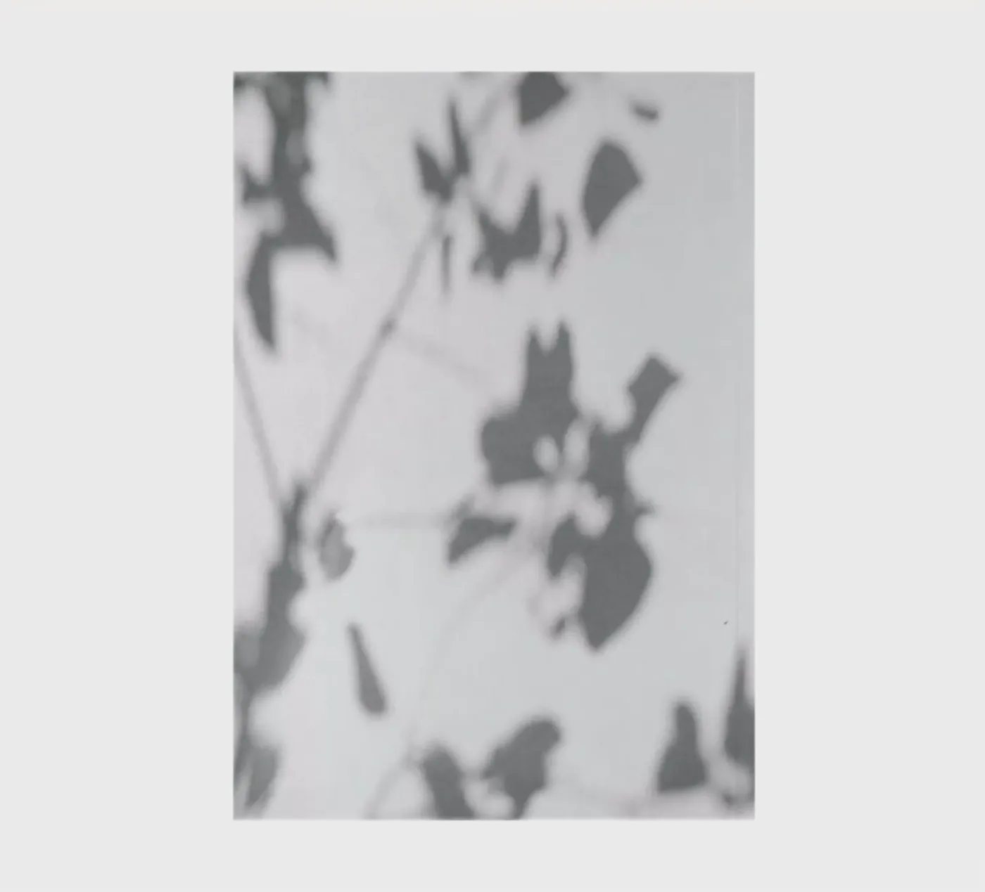 Shadow notebook by Flora & Fauna