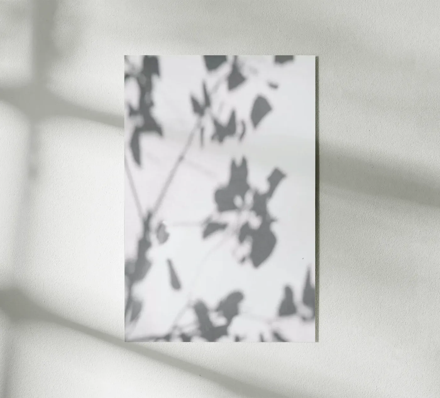 Shadow acrylic glass by Flora & Fauna