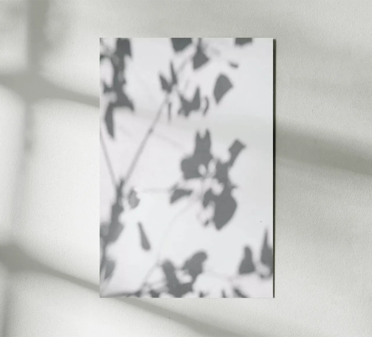 Shadow alluminio dibond da Flora & Fauna