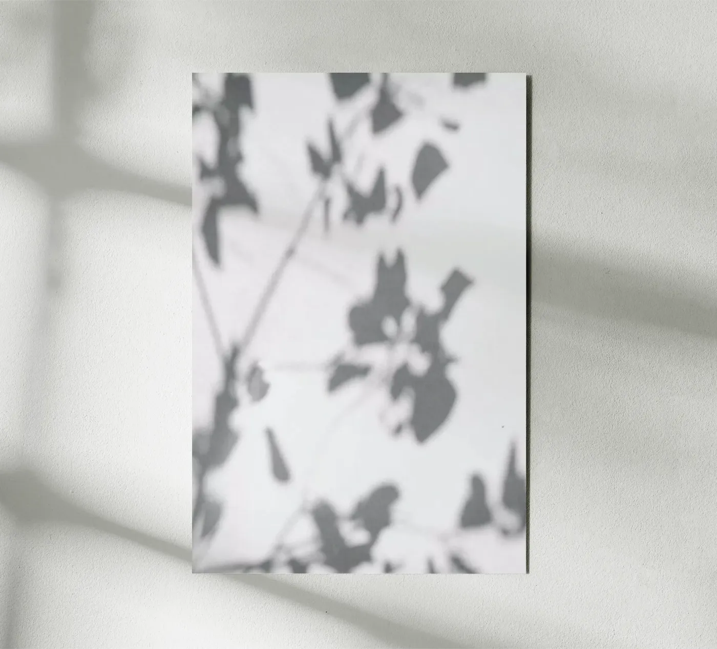 Shadow forex-plaat van Flora & Fauna