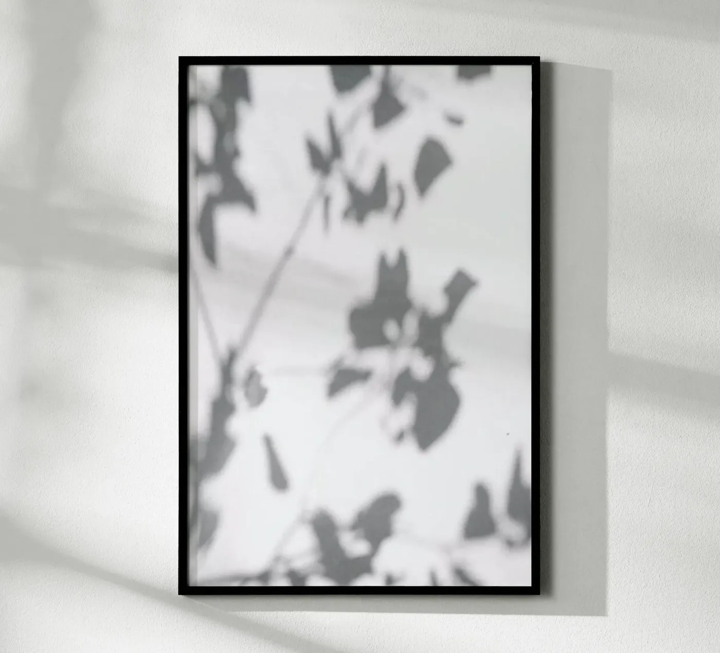 Shadow poster da Flora & Fauna