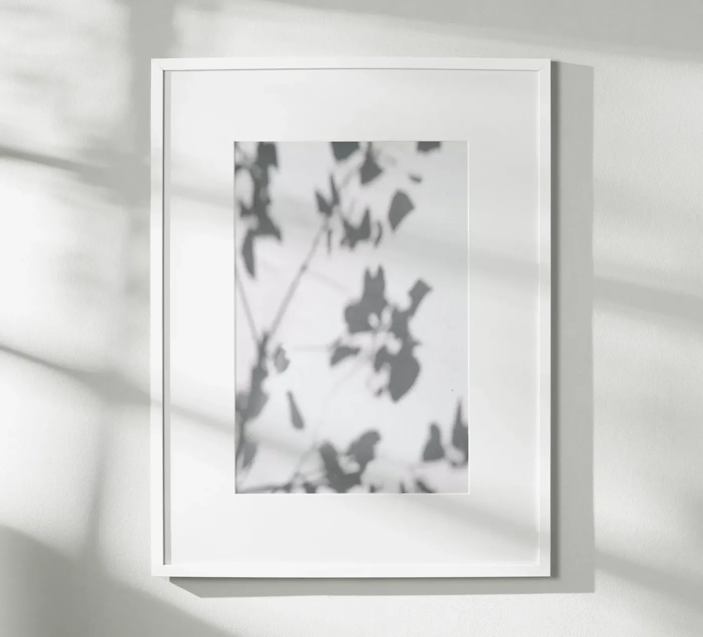 Shadow poster da Flora & Fauna