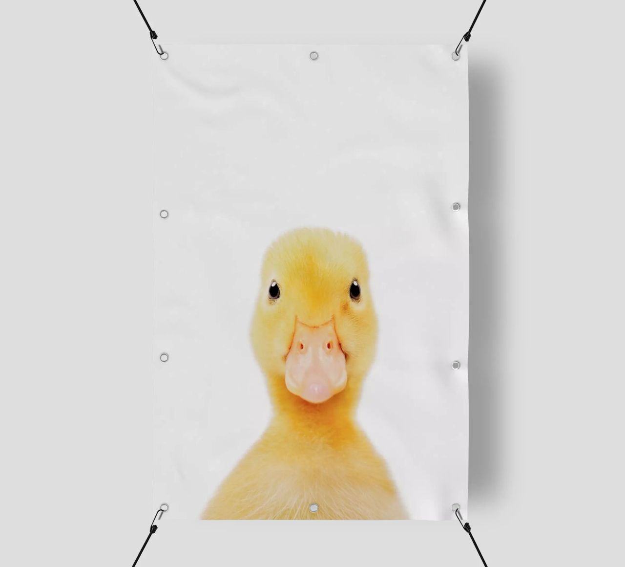 Duckling telo in pvc da Paws & Claws