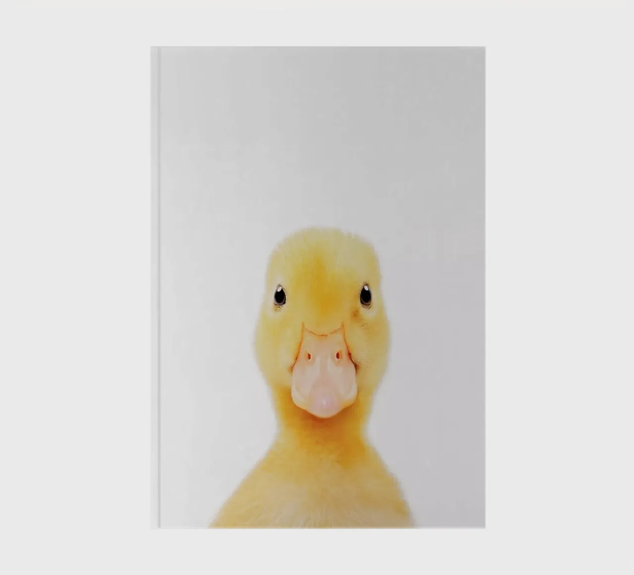 Duckling notebook by Paws & Claws