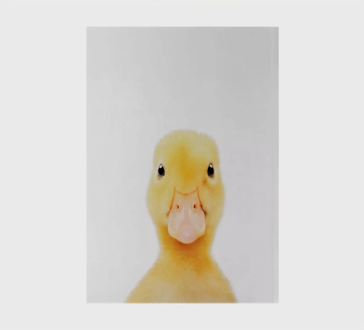 Duckling notebook by Paws & Claws