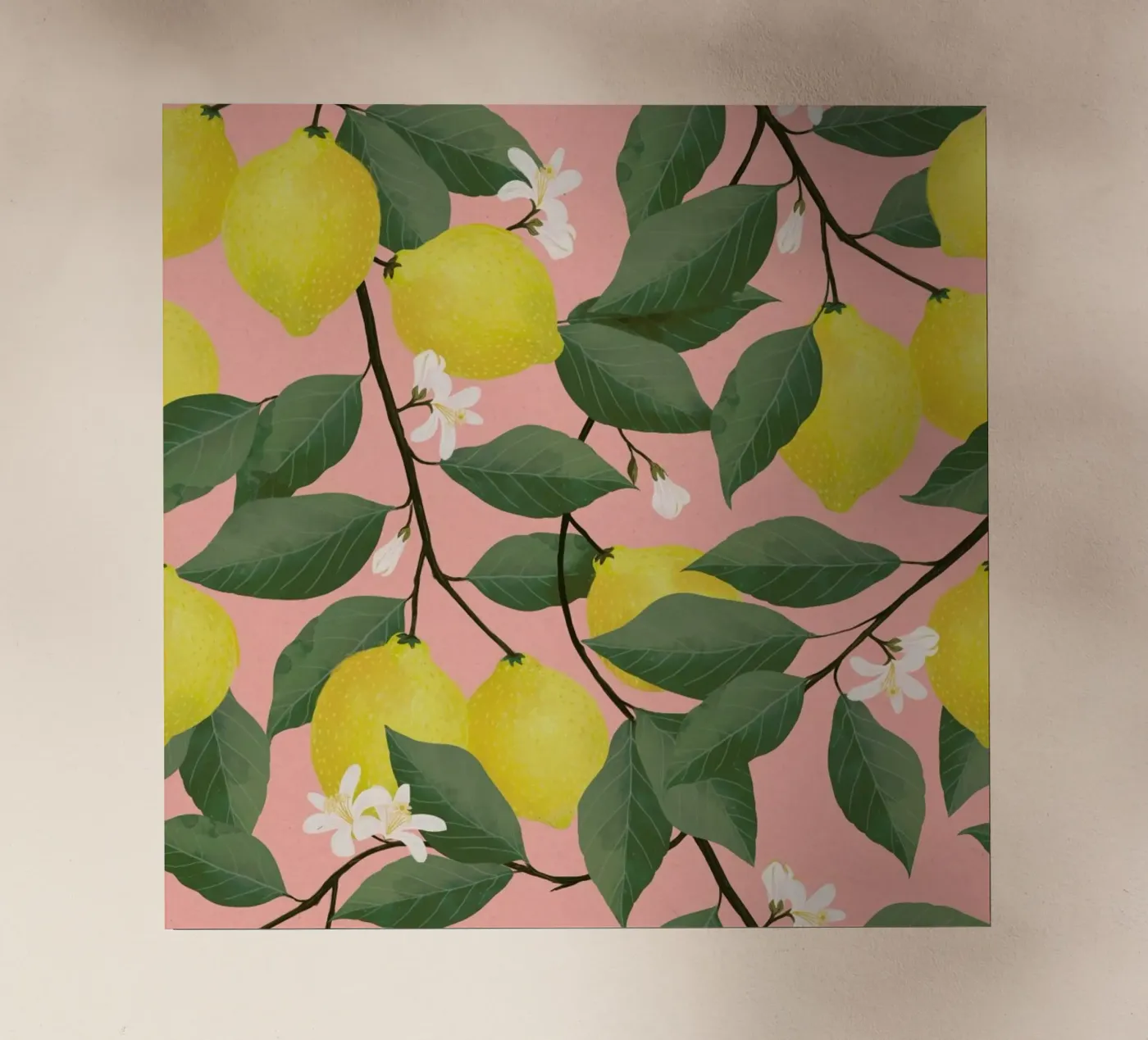 Lemon Tree pellicola backlit da Laura Graves