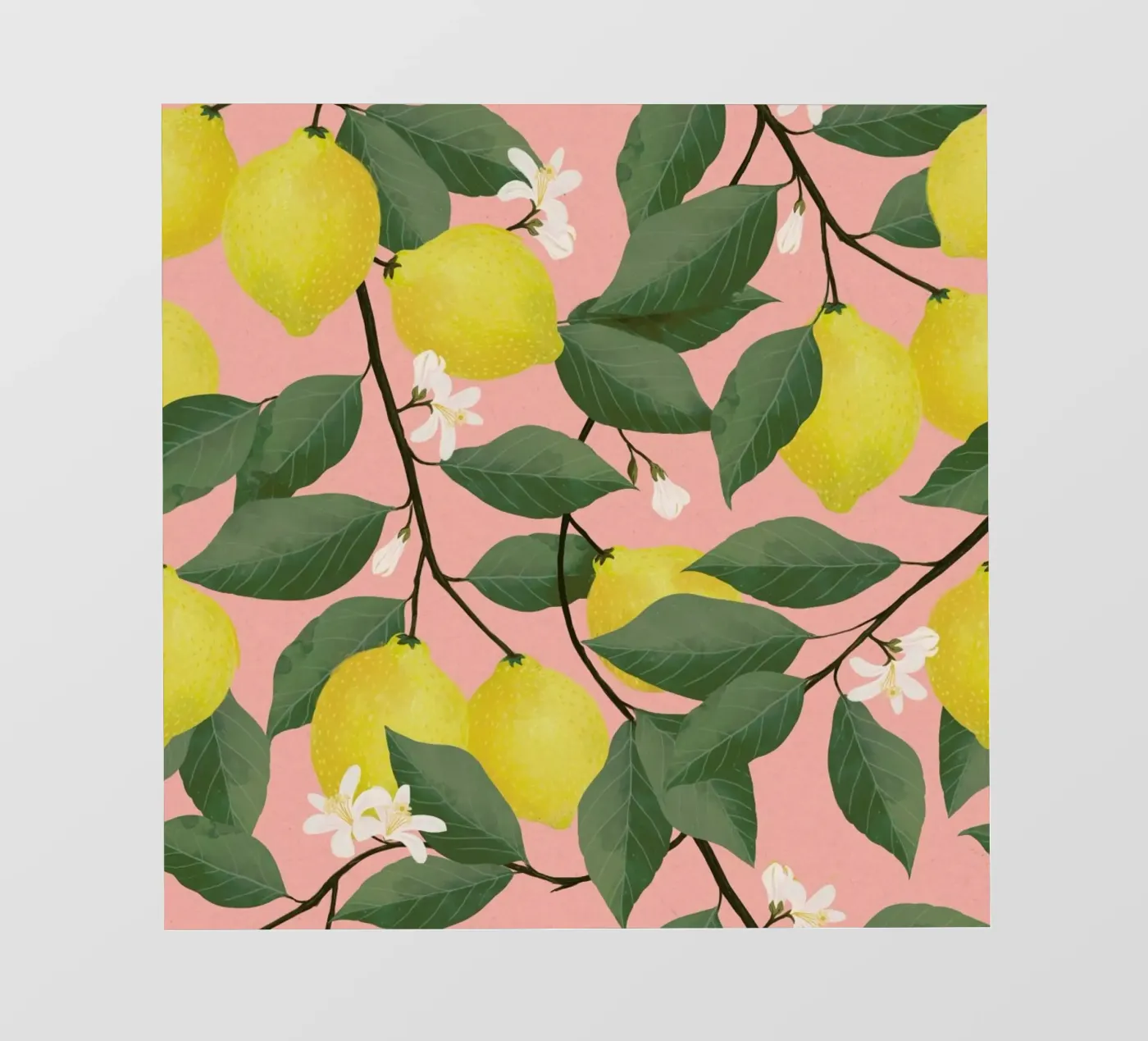 Lemon Tree pellicola backlit da Laura Graves