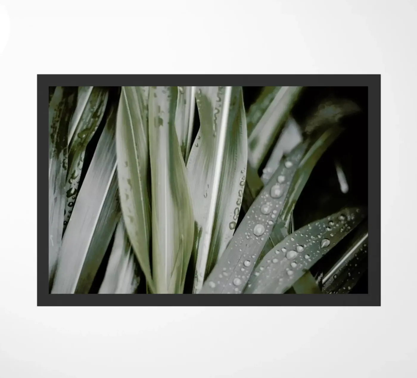 Lush deurmat van Flora & Fauna