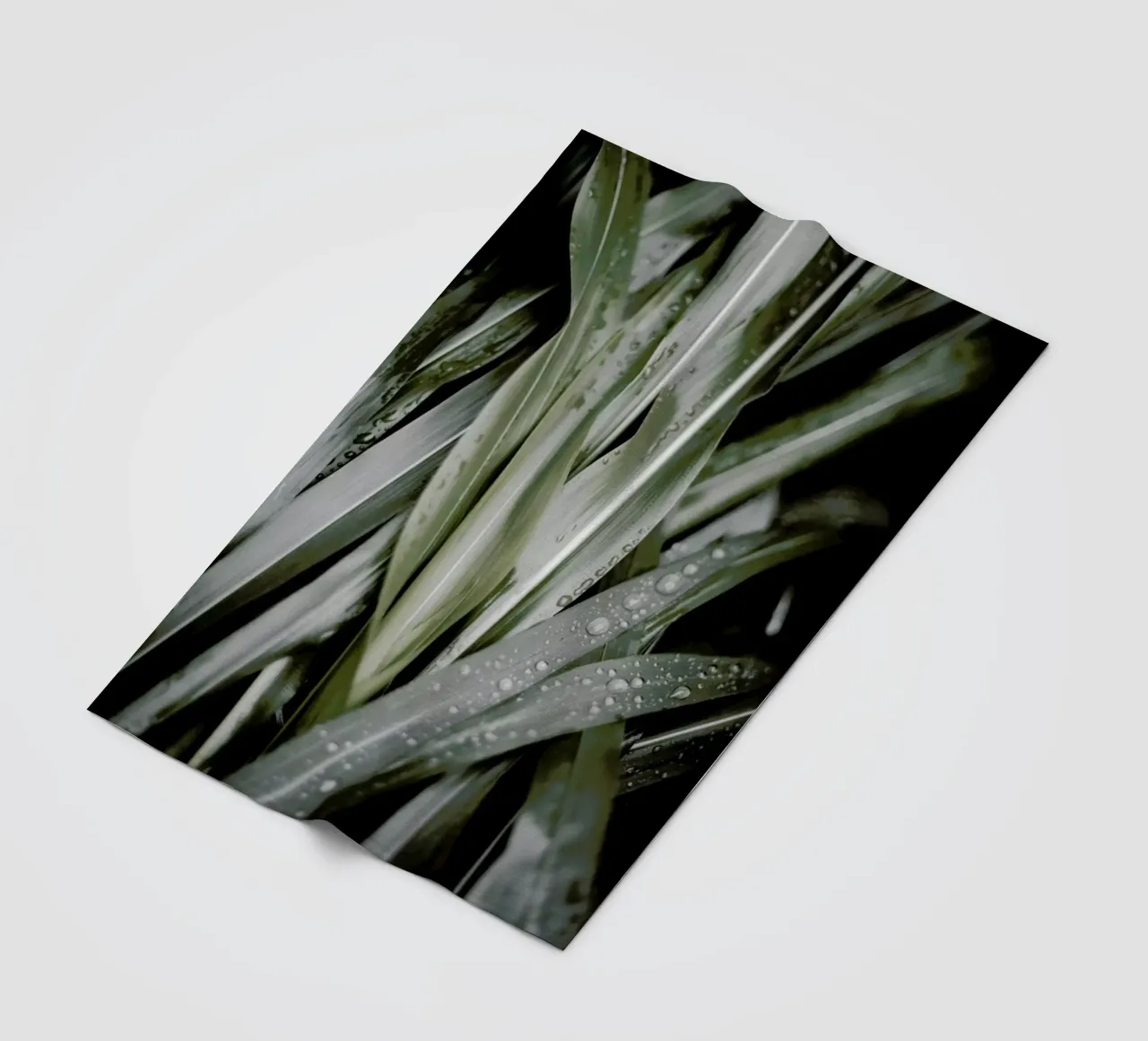 Lush coperta in pile da Flora & Fauna