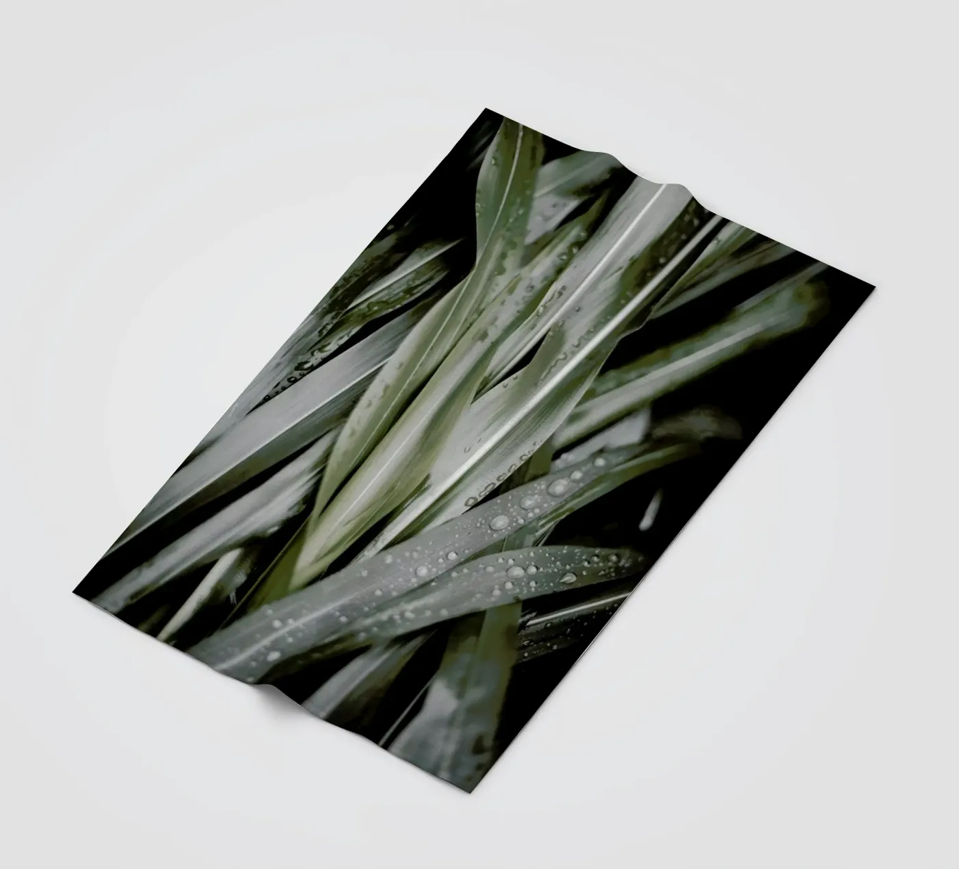 Lush fleece blanket by Flora & Fauna