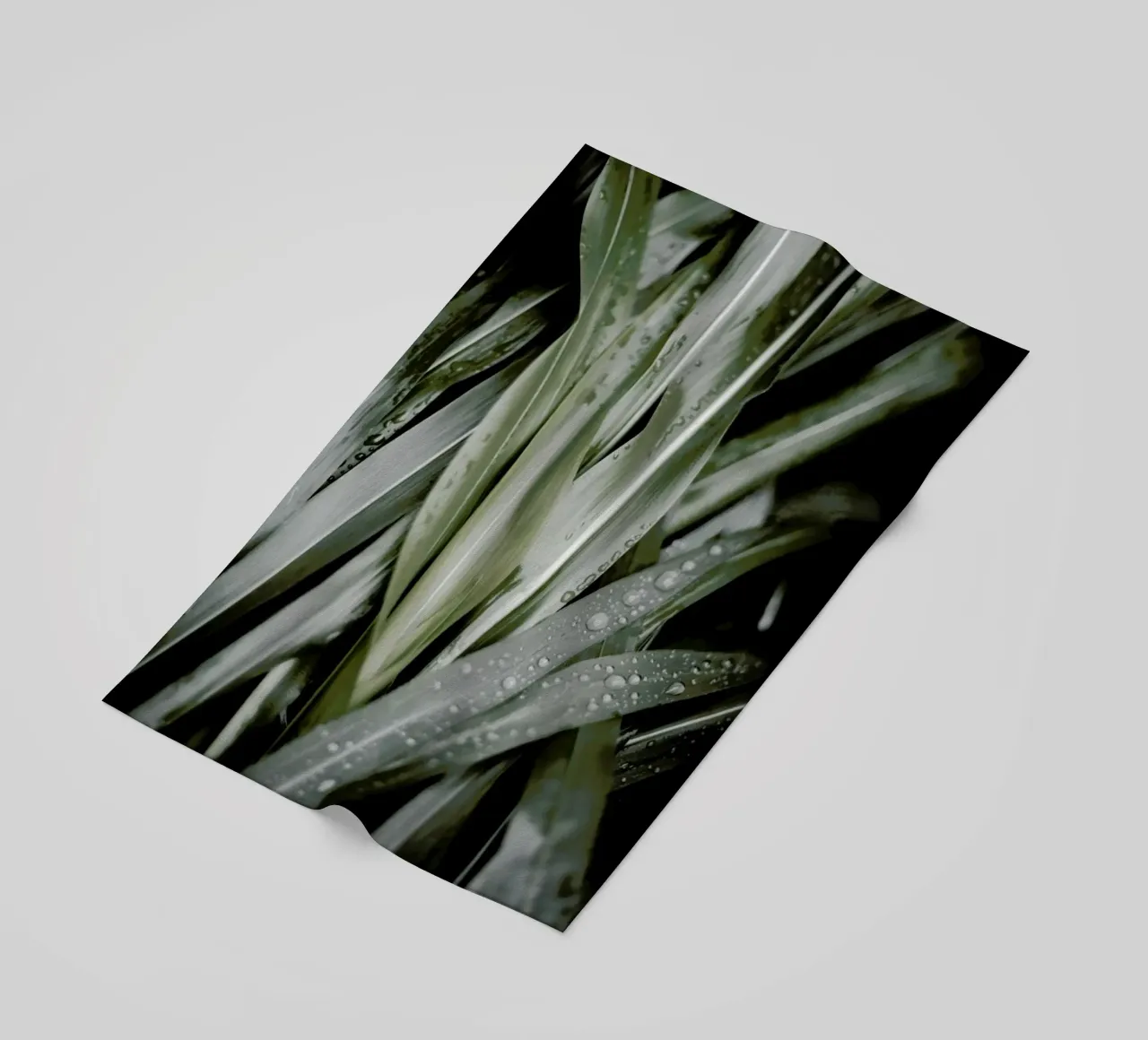 Lush telo mare da Flora & Fauna