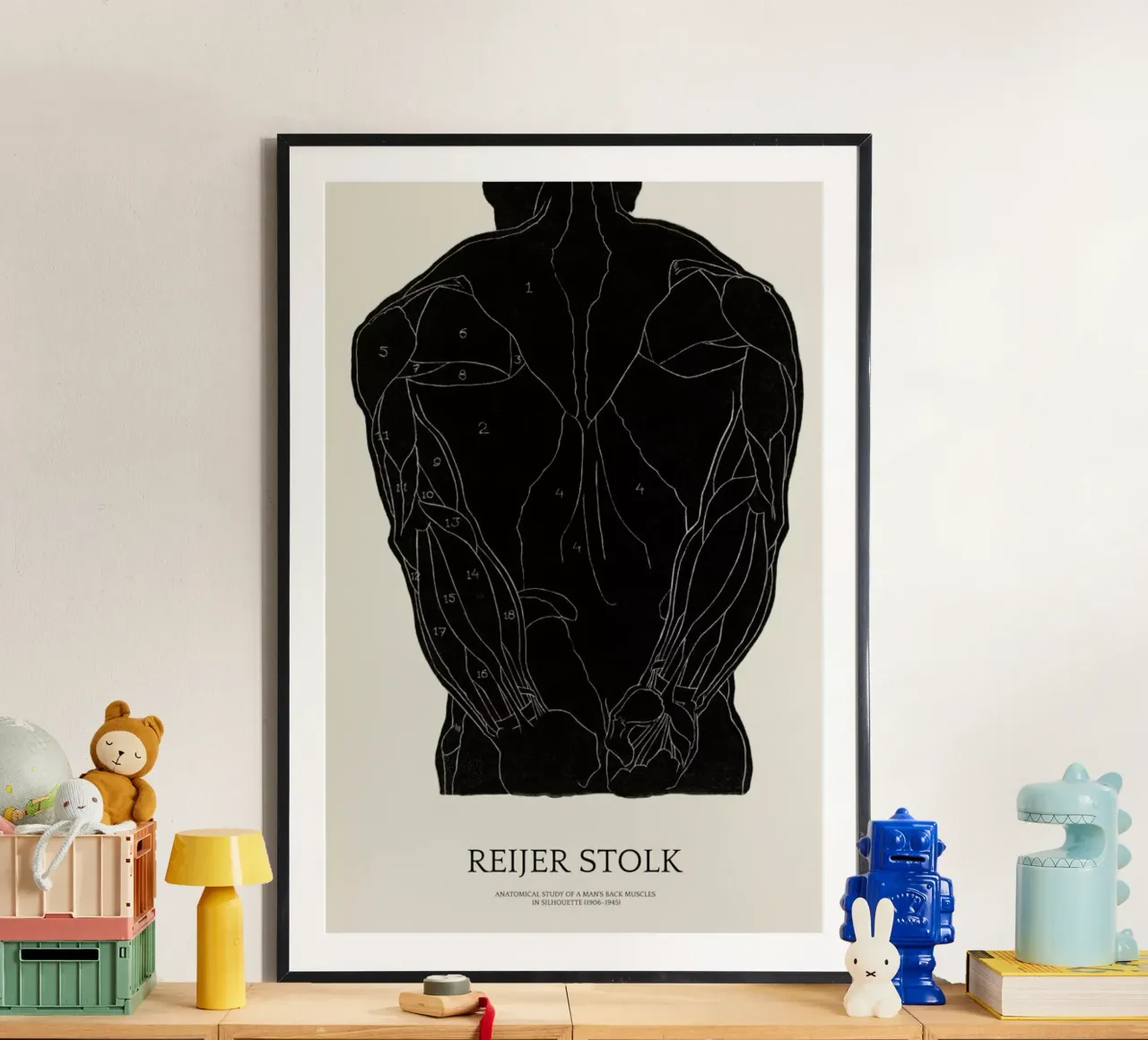 Stolk - Anatomical Study of a Man's Back Muscles poster da Vintage by JUNIQE