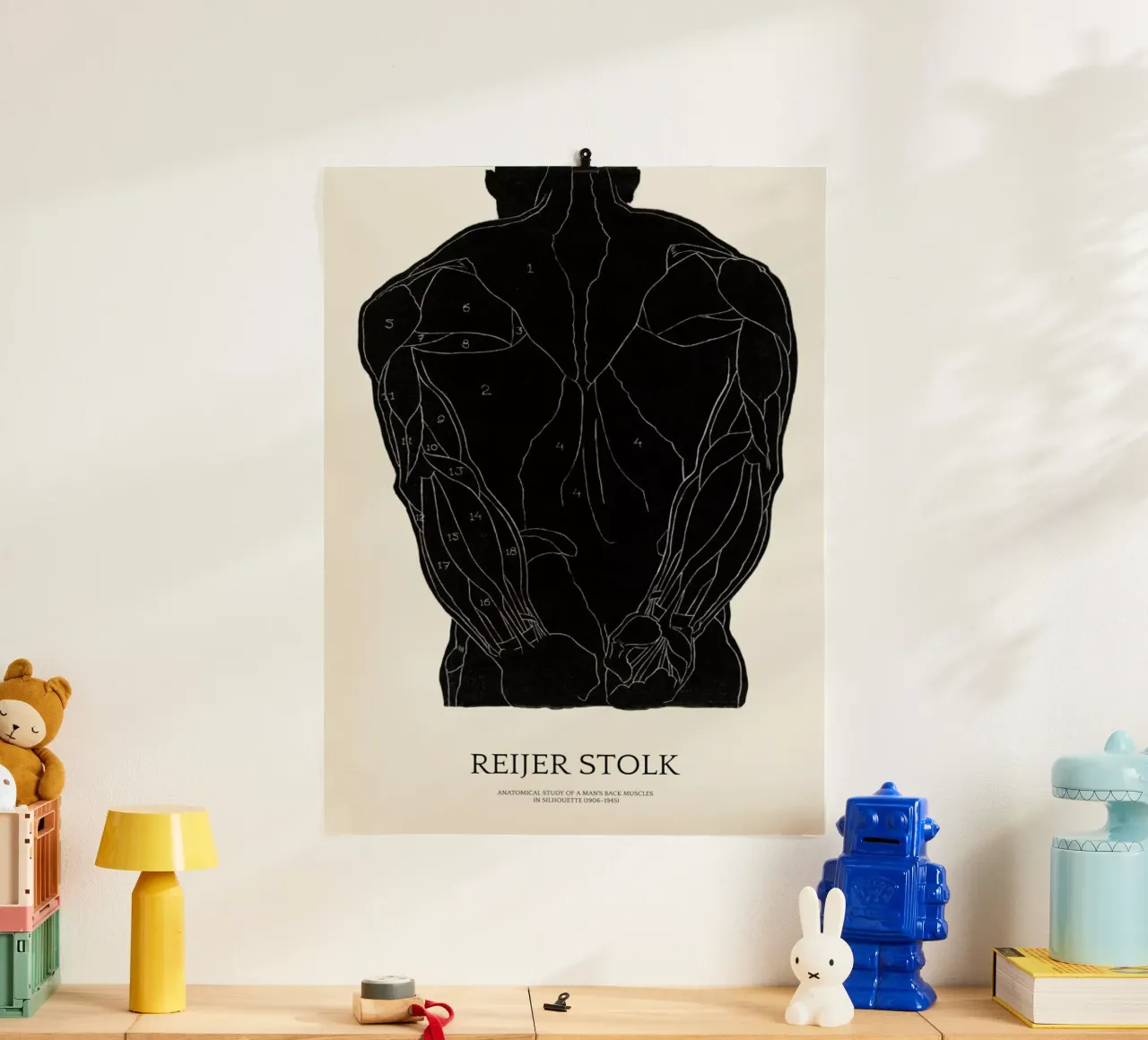 Stolk - Anatomical Study of a Man's Back Muscles poster da Vintage by JUNIQE