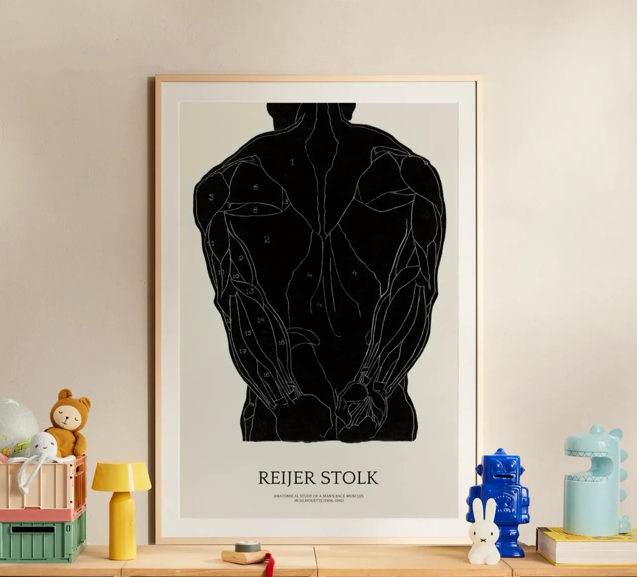 Stolk - Anatomical Study of a Man's Back Muscles poster da Vintage by JUNIQE