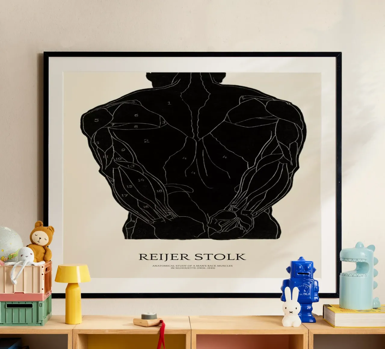 Stolk - Anatomical Study of a Man's Back Muscles poster da Vintage by JUNIQE