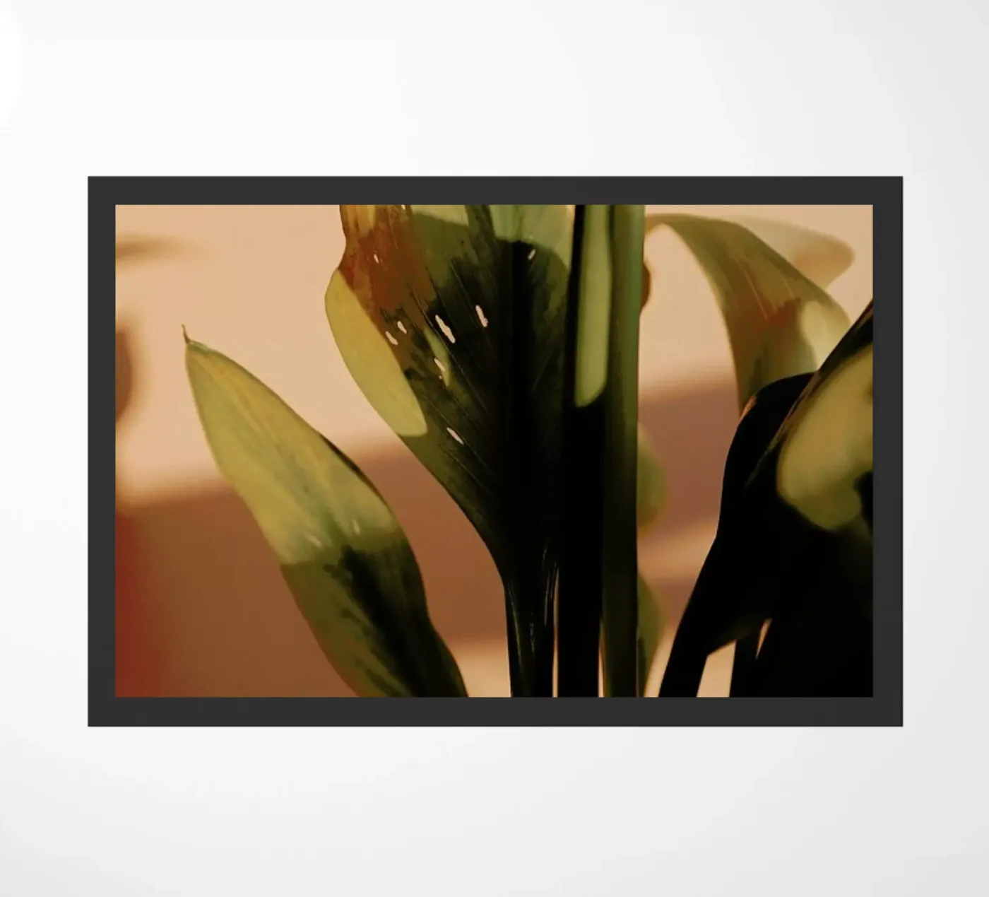 Perfect Light paillasson de Flora & Fauna