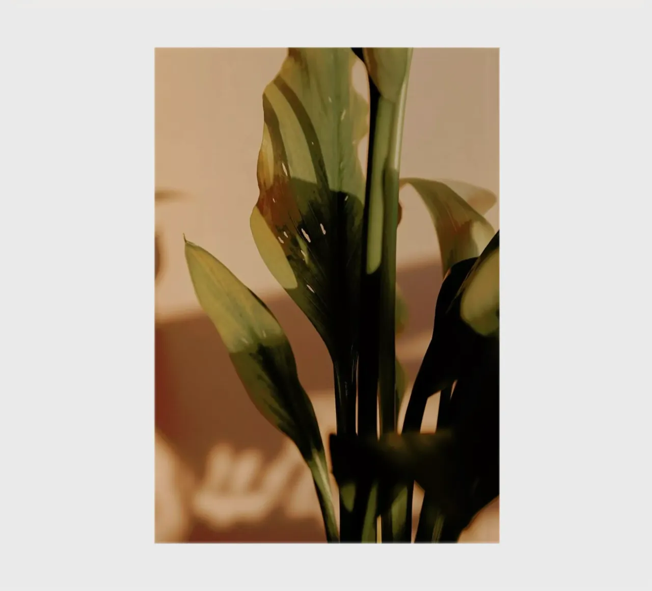 Perfect Light notebook by Flora & Fauna