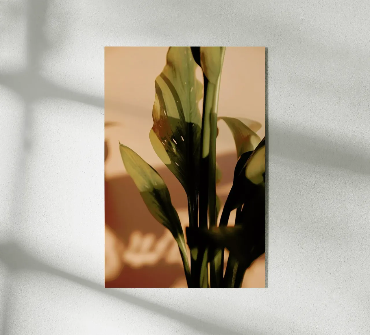 Perfect Light Acryl-Glas von Flora & Fauna