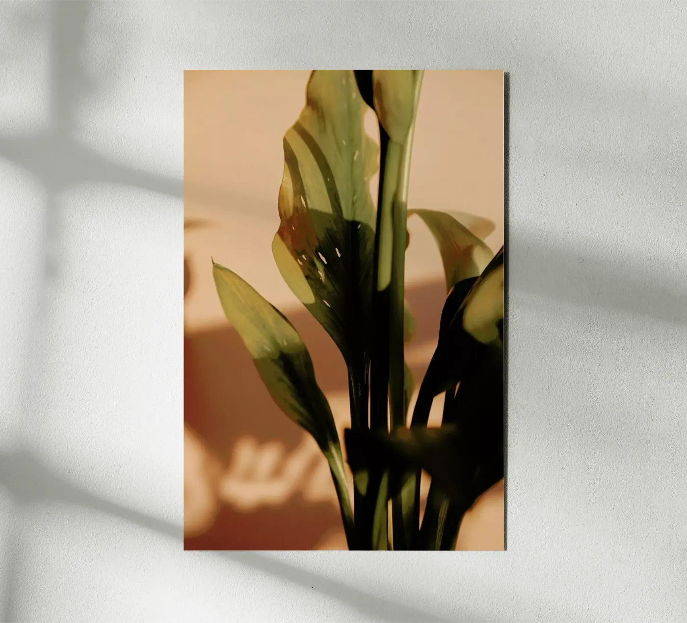 Perfect Light pannello forex da Flora & Fauna