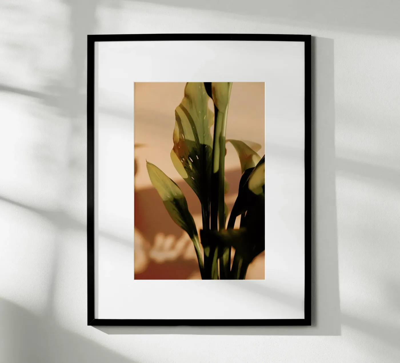 Perfect Light poster van Flora & Fauna